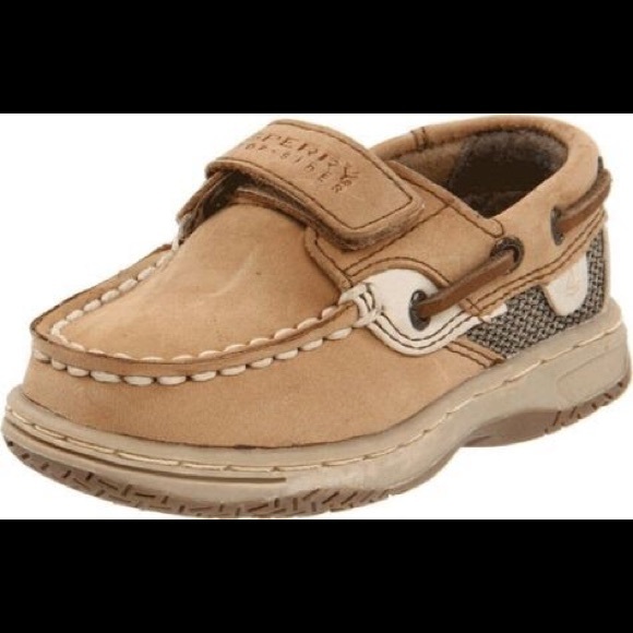sperry bluefish tan